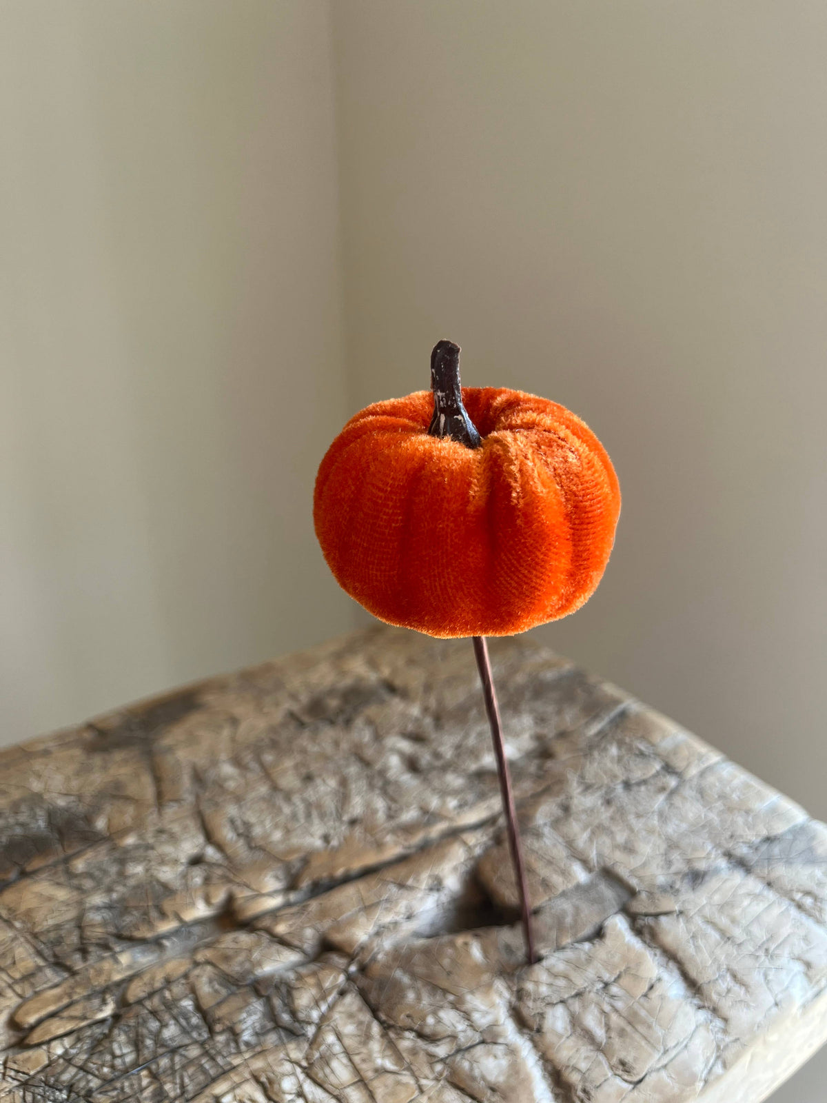 Velvet Pumpkin Pick Burnt Orange Pack of 6