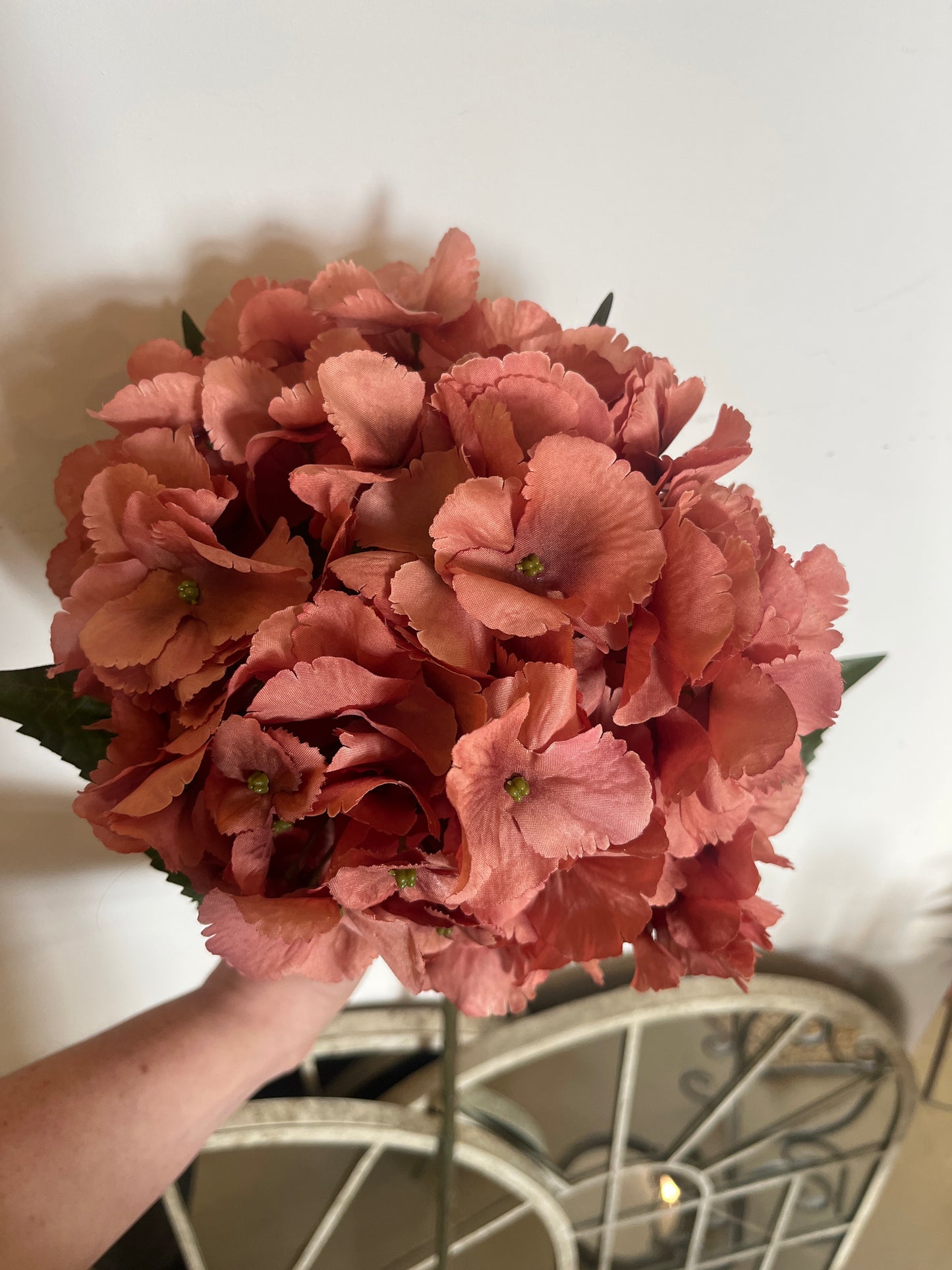 Large Hydrangea