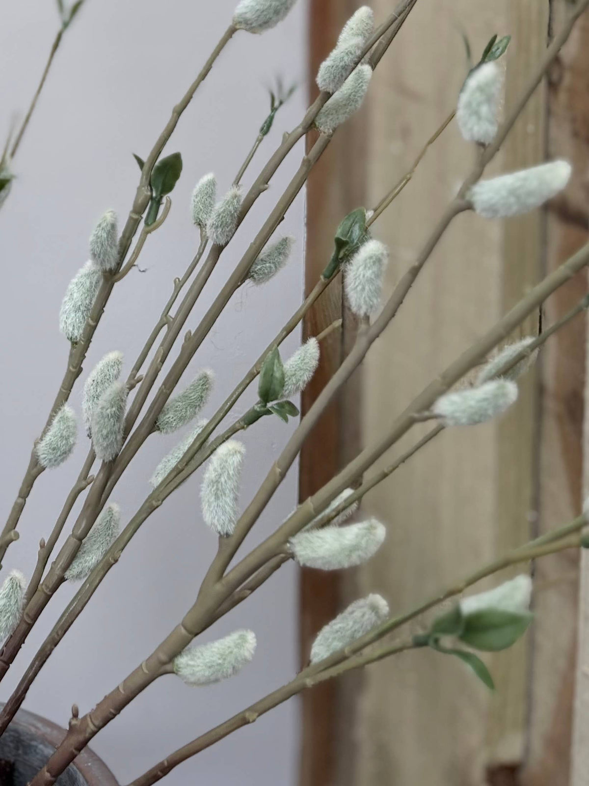 Deluxe Pussy Willow