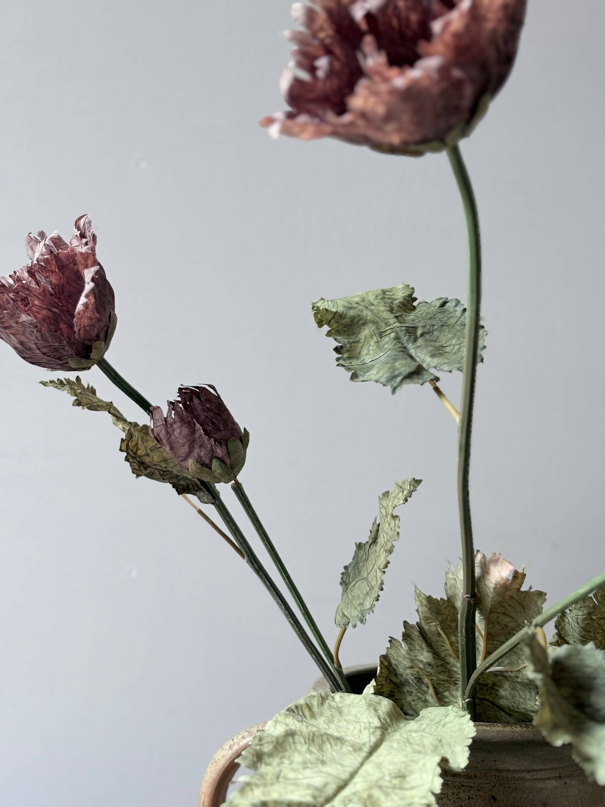 Vintage Poppy - Mocha Fudge