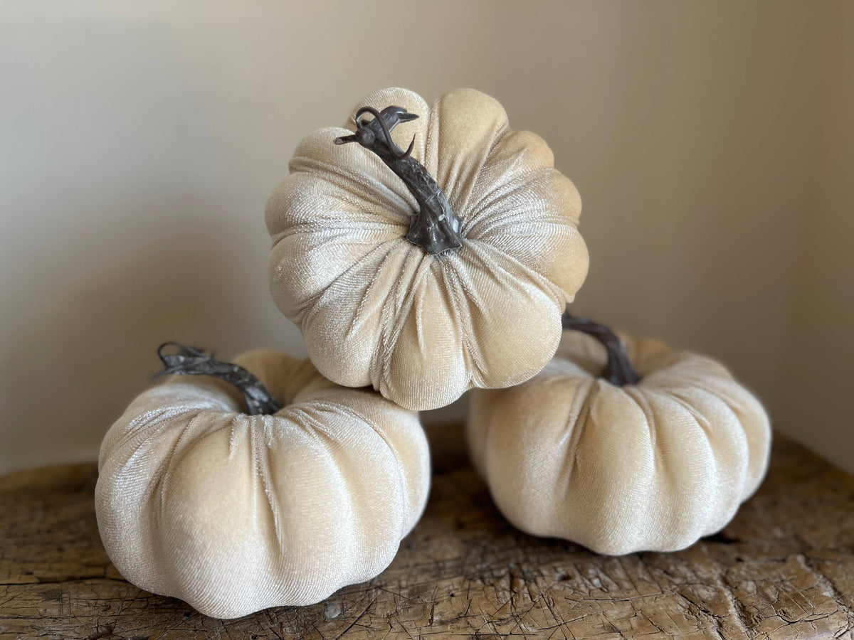 Medium Velvet Pumpkin Ivory
