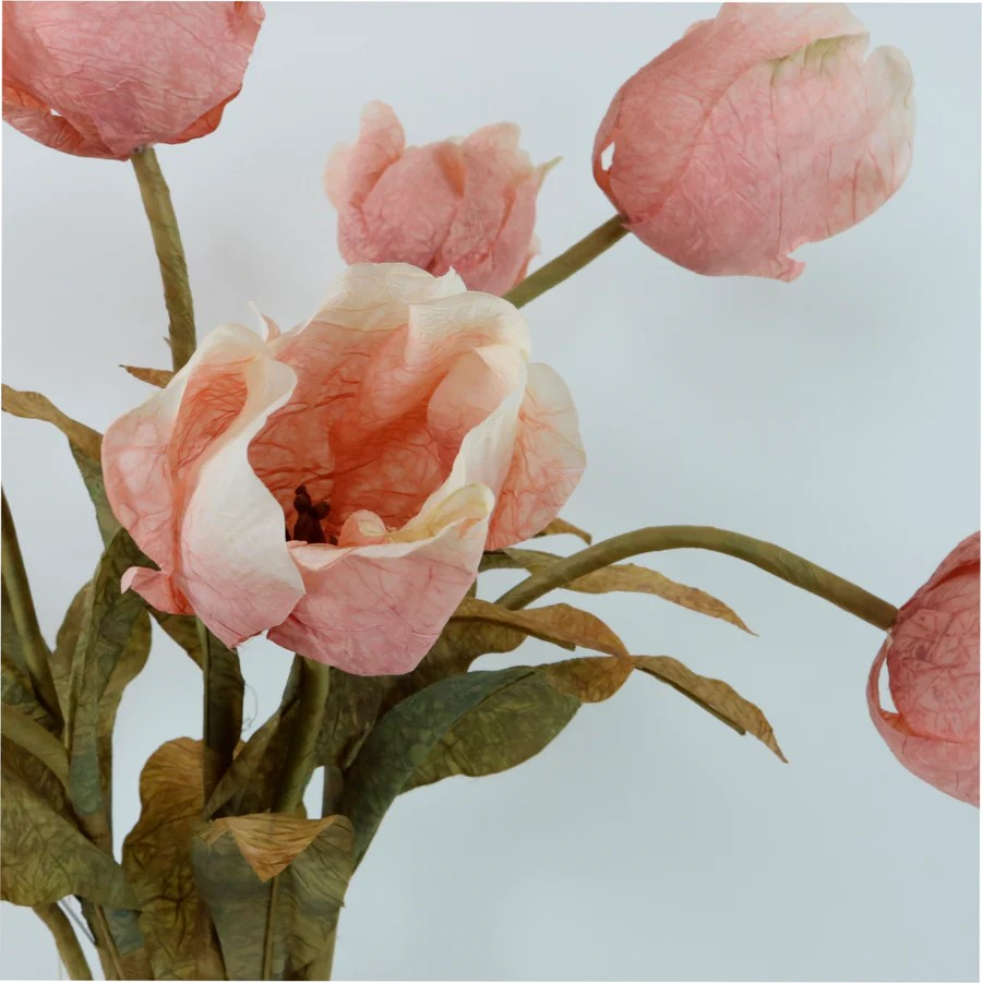 Dusty Pink Tulip