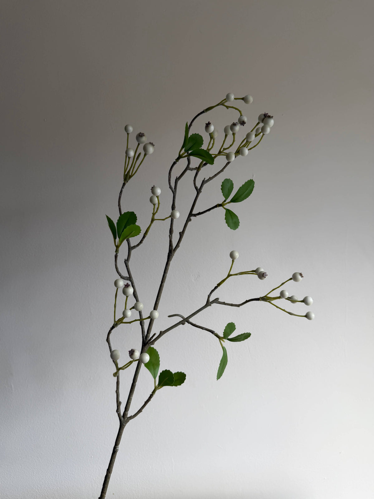 White Winter Berry Spray