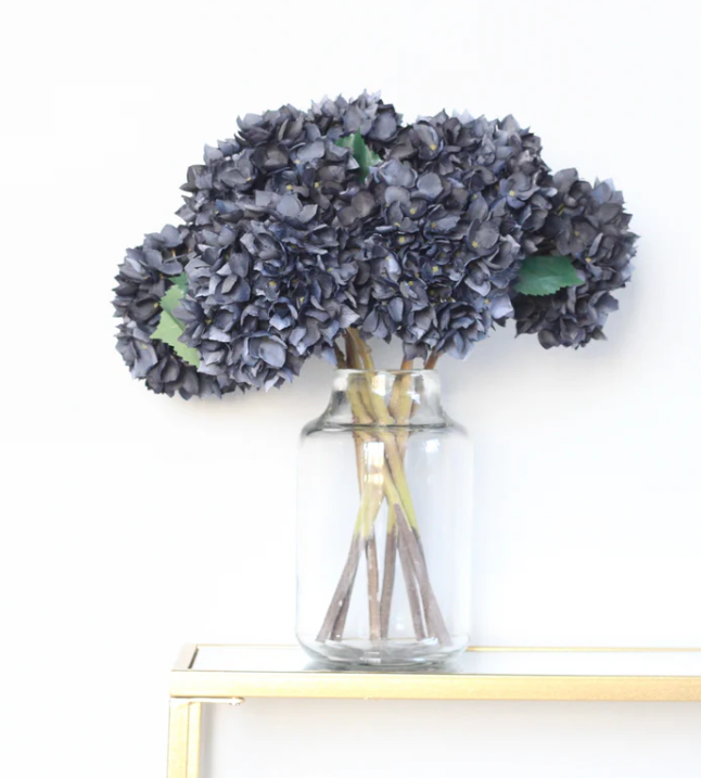 Midnight Blue Late Season Hydrangea
