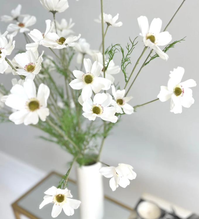 White Cosmos Flower