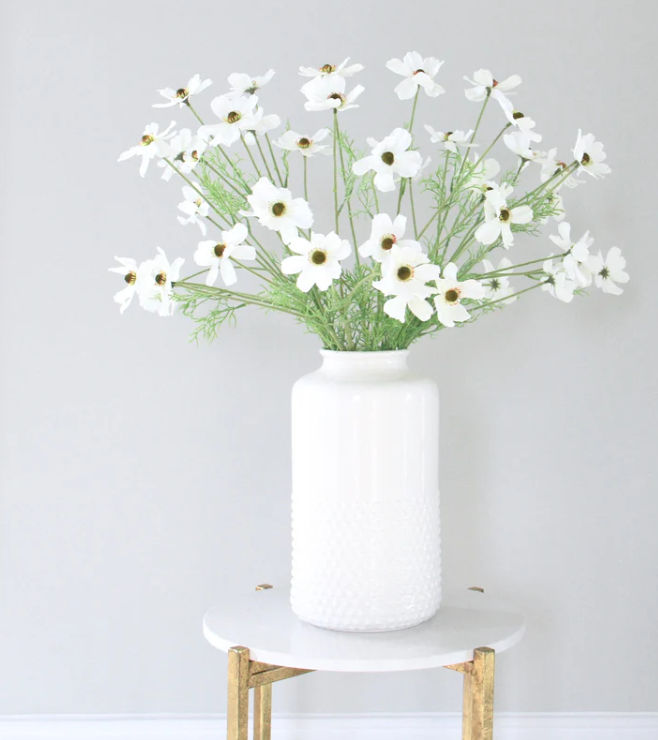 White Cosmos Flower