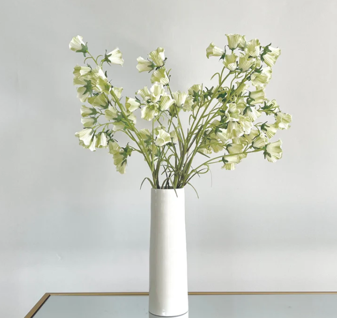 Cream Canterbury Bells