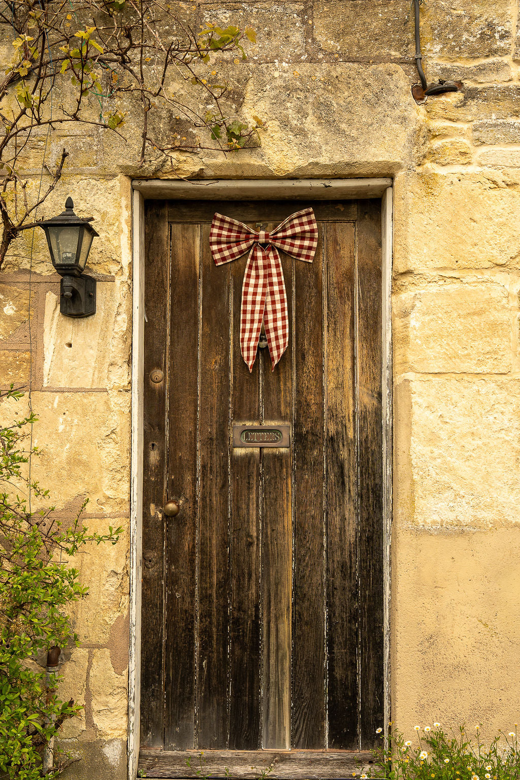 Winter Berry Gingham Bow