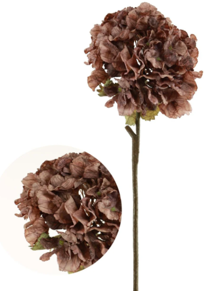 Ruffled Mocha Hydrangea