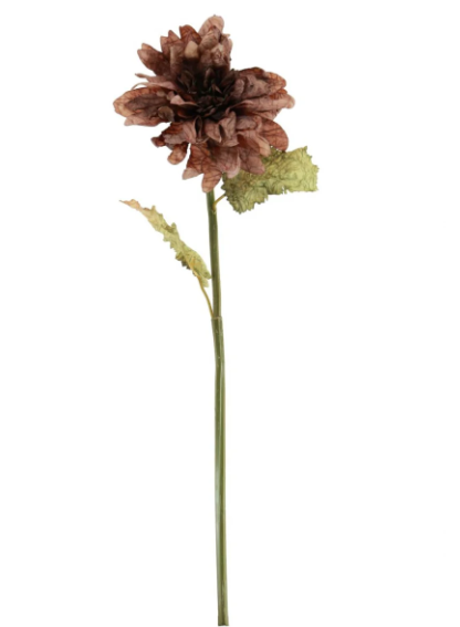 Ruffled Mocha Dahlia