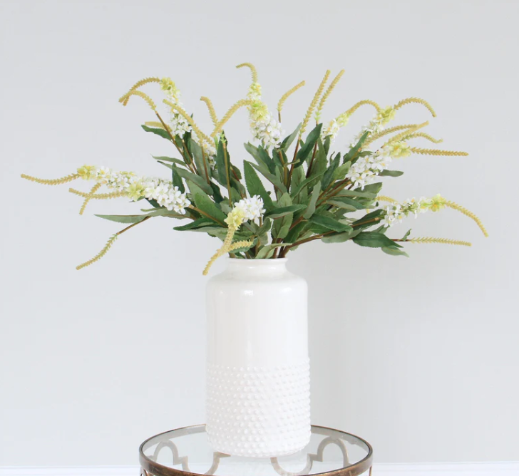 White Sage Plant