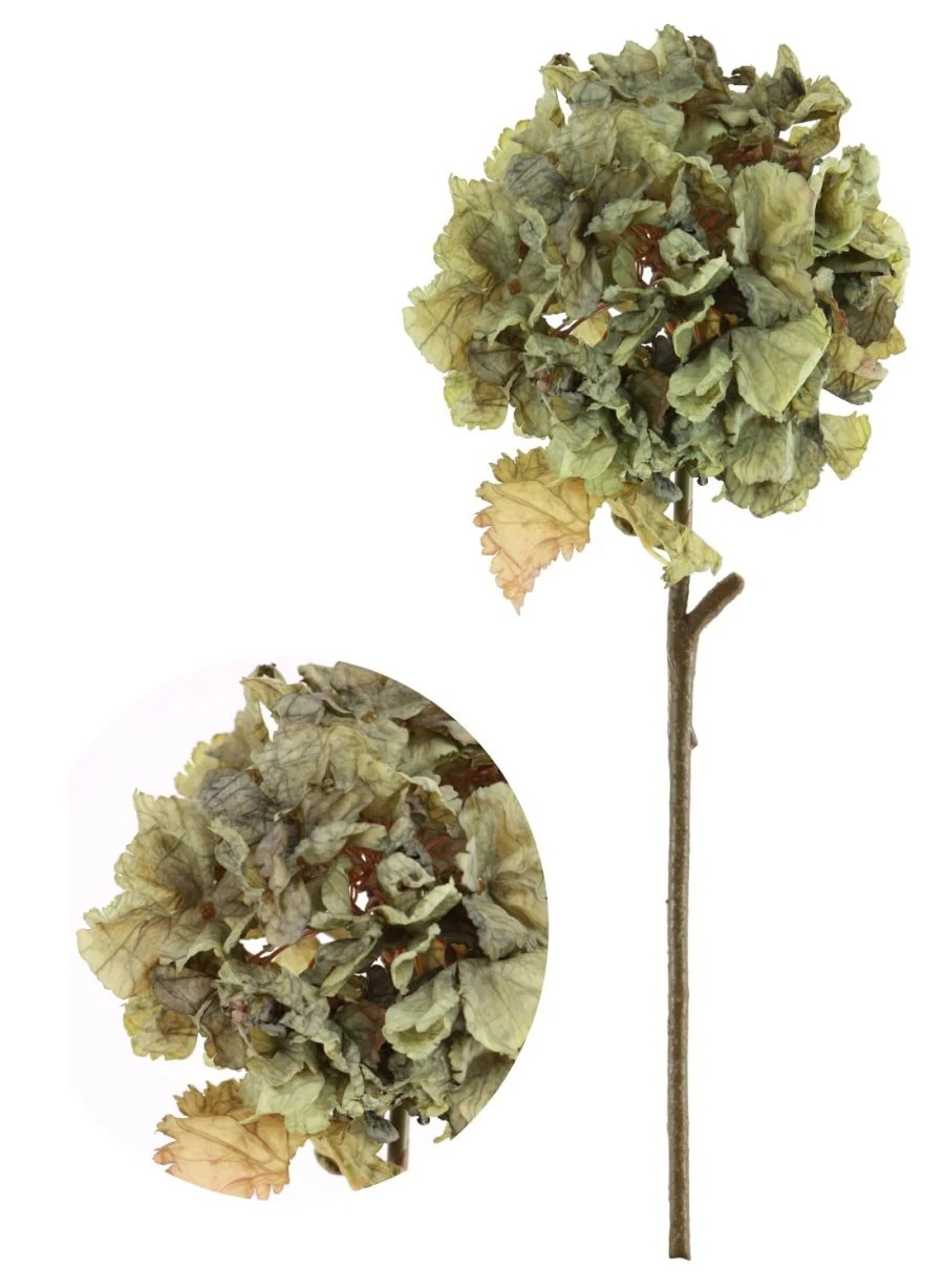 Green Ruffled Hydrangea