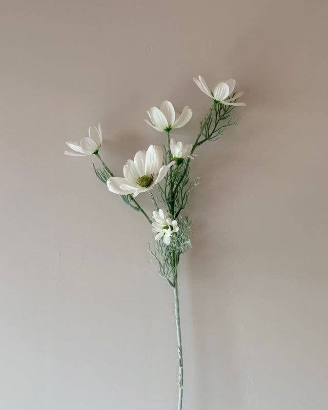Cosmos Spray