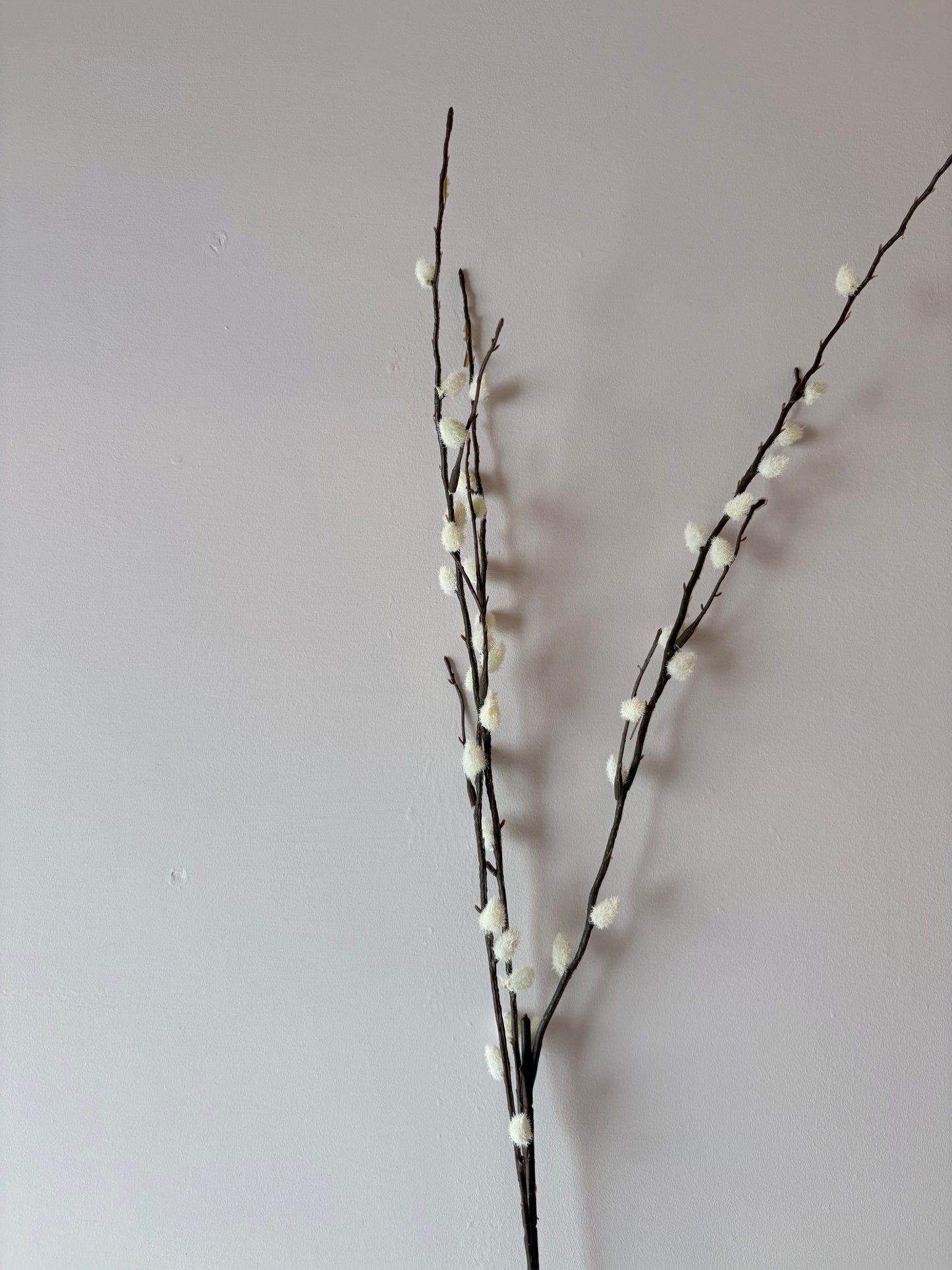 Classic Pussy Willow Spray