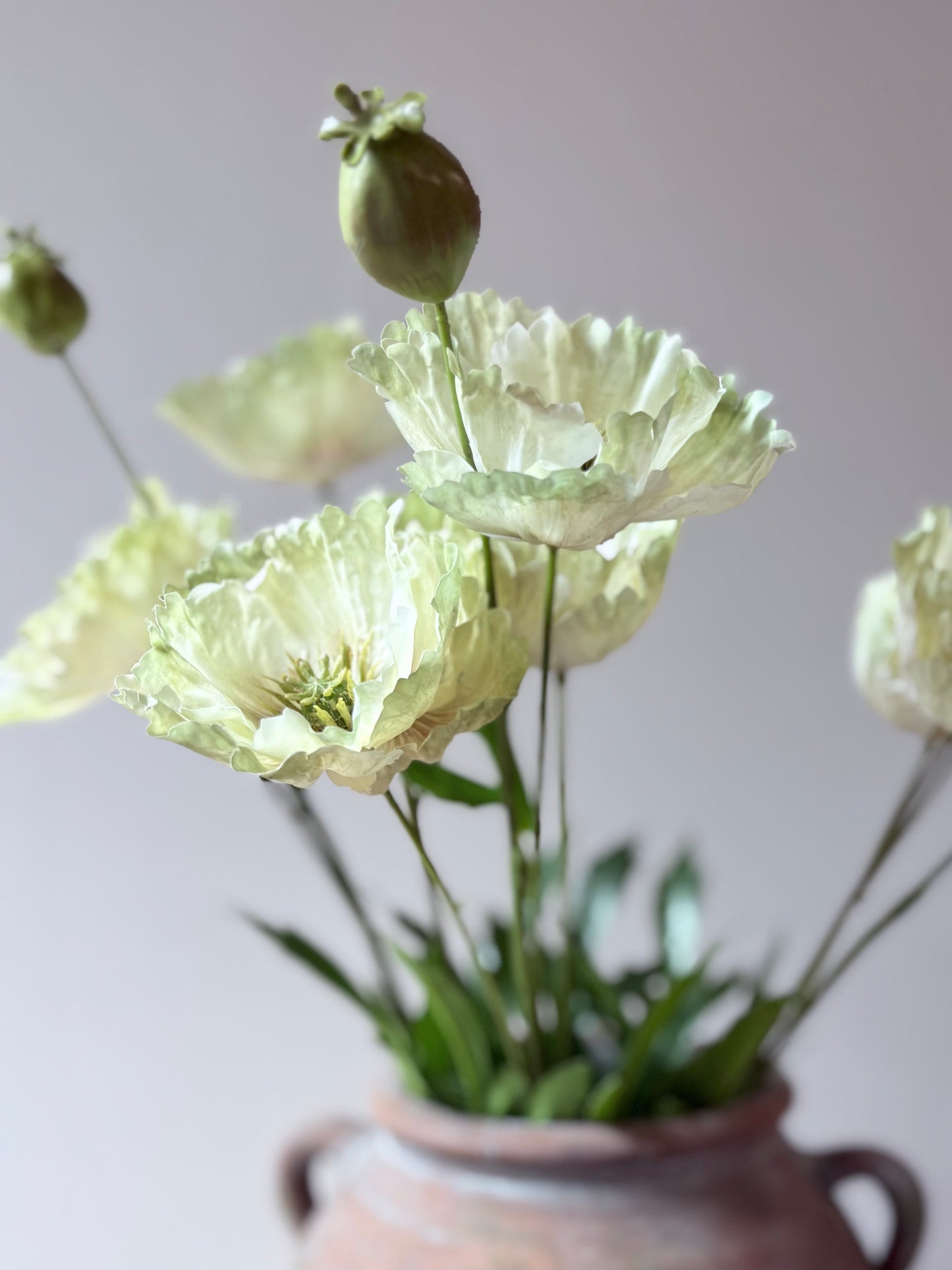Country Poppy - Soft Lime-Green