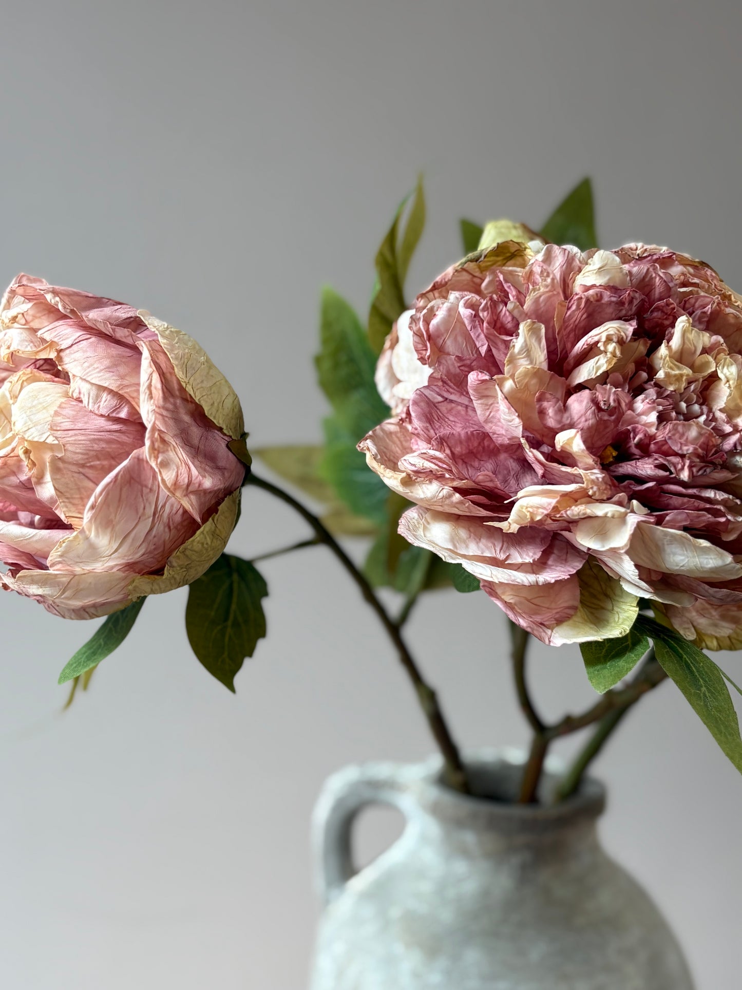 Full Bloom Peony - Dusky Pink