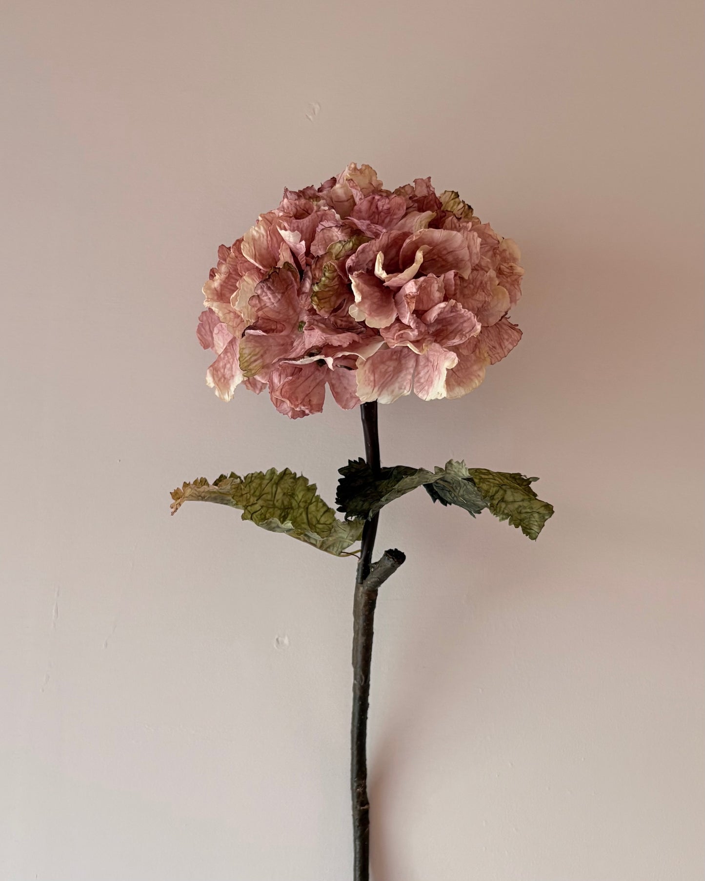 Vintage Hydrangea - Dusky Pink