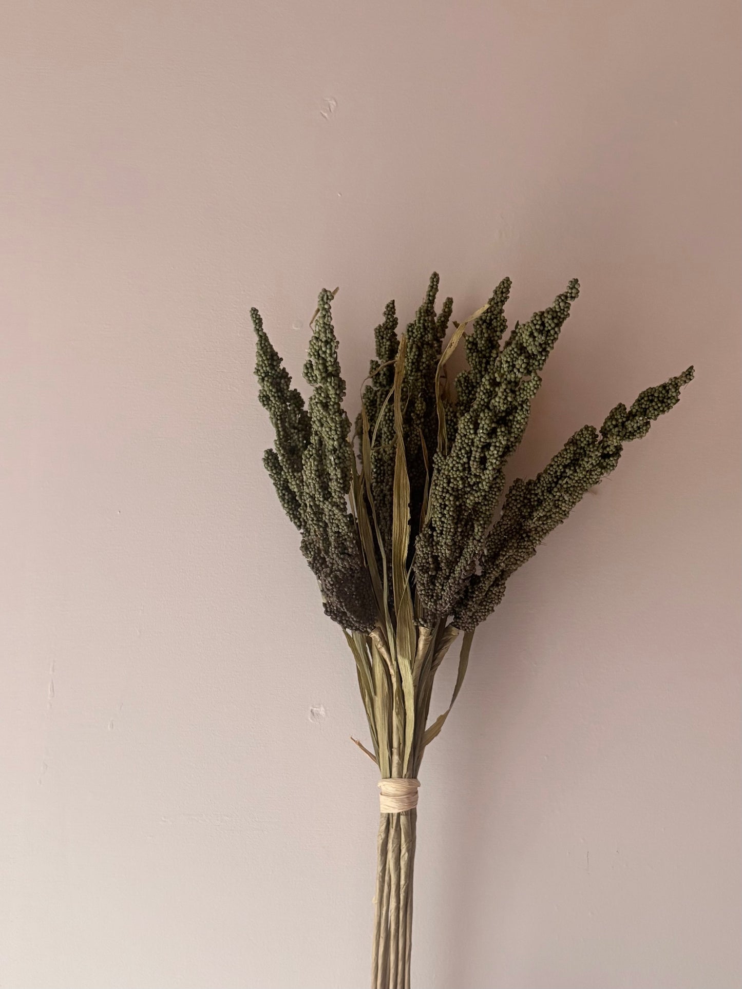 Wheat Bunch - Green