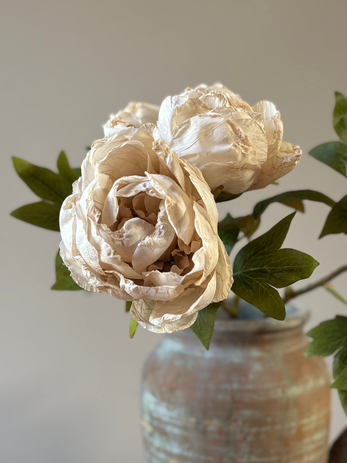 Single Closed Cup Peony in Nude