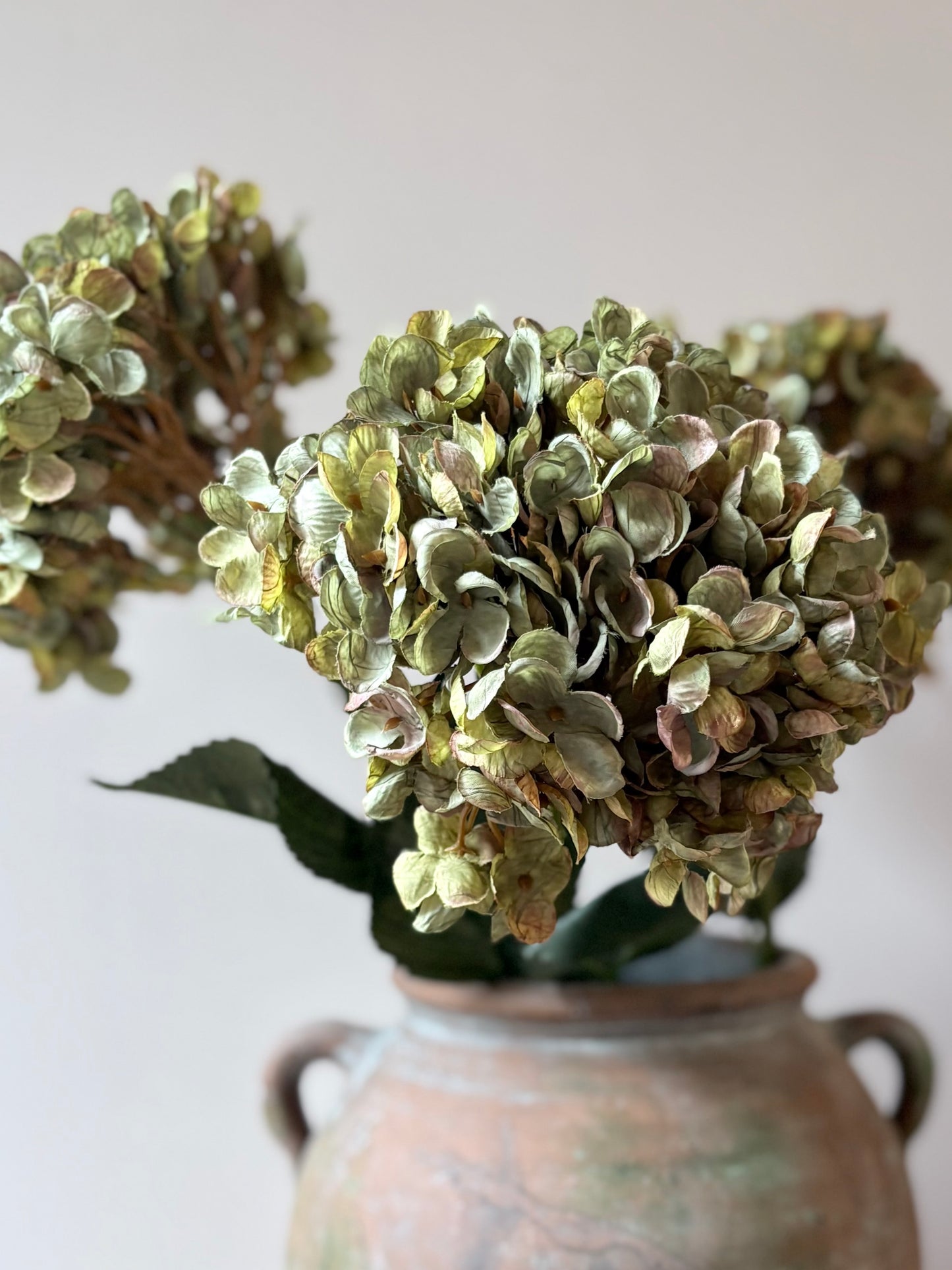 Cassandra Hydrangea Sage Green