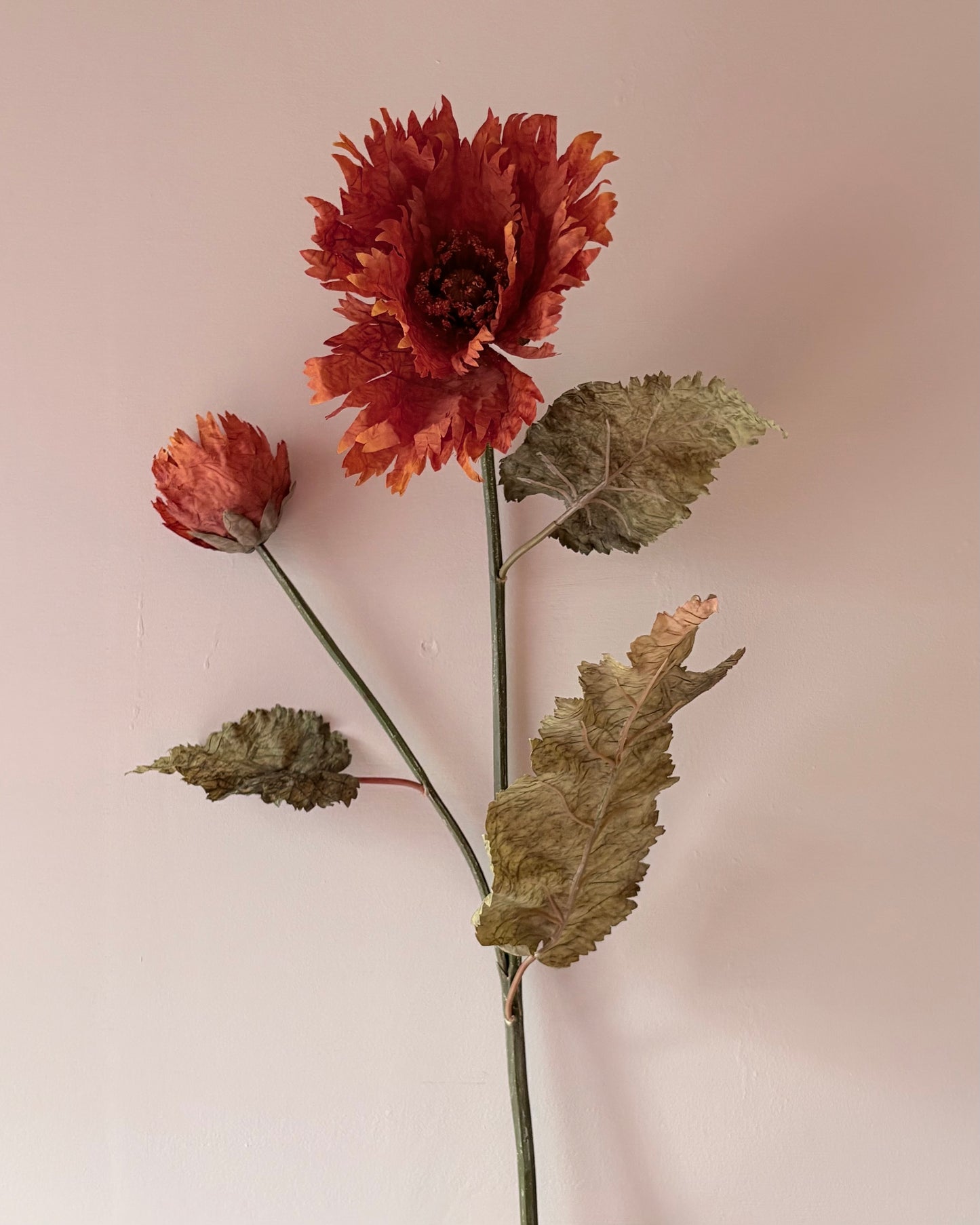 Vintage Poppy in Rust Orange