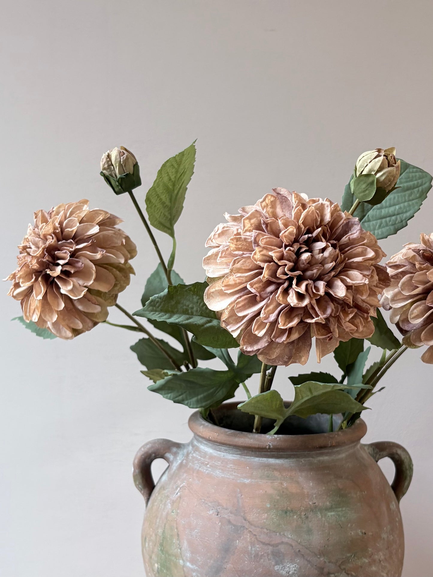 Pom Pom Dahlia Latte