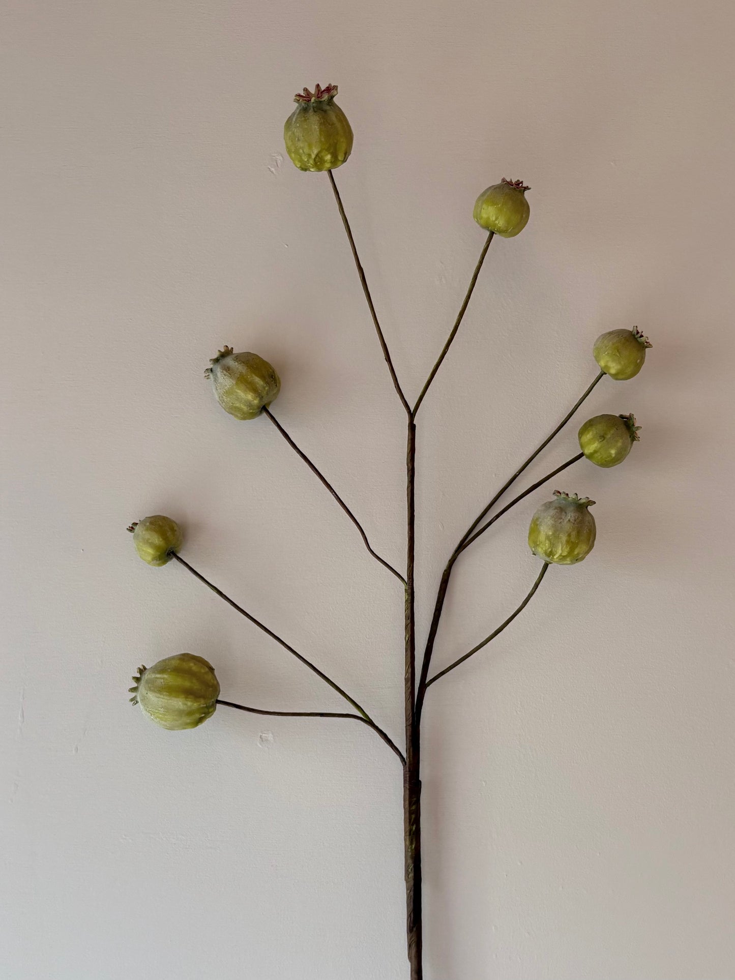 Poppy Seed Head - Green