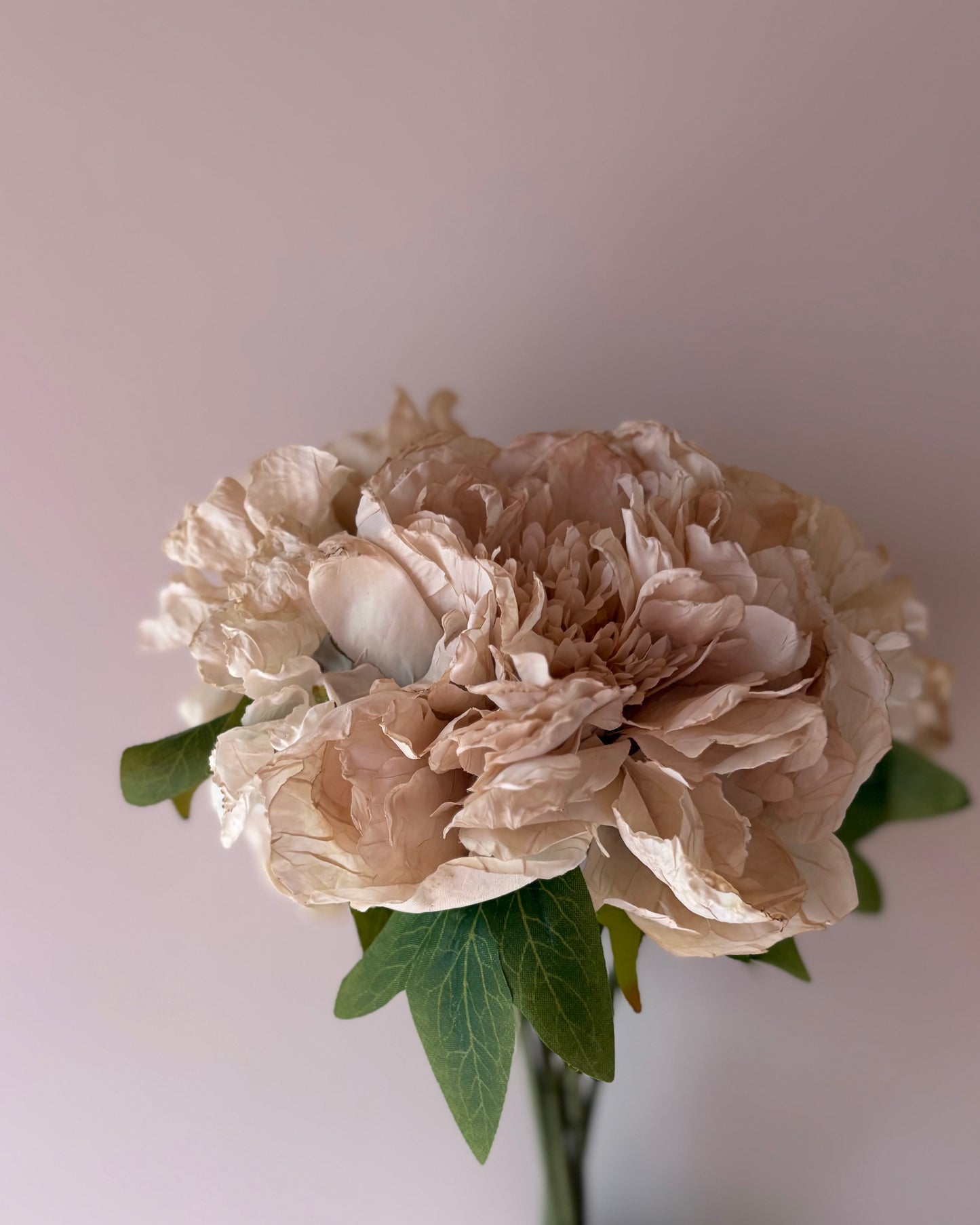 Vintage Peony Bouquet in Nude