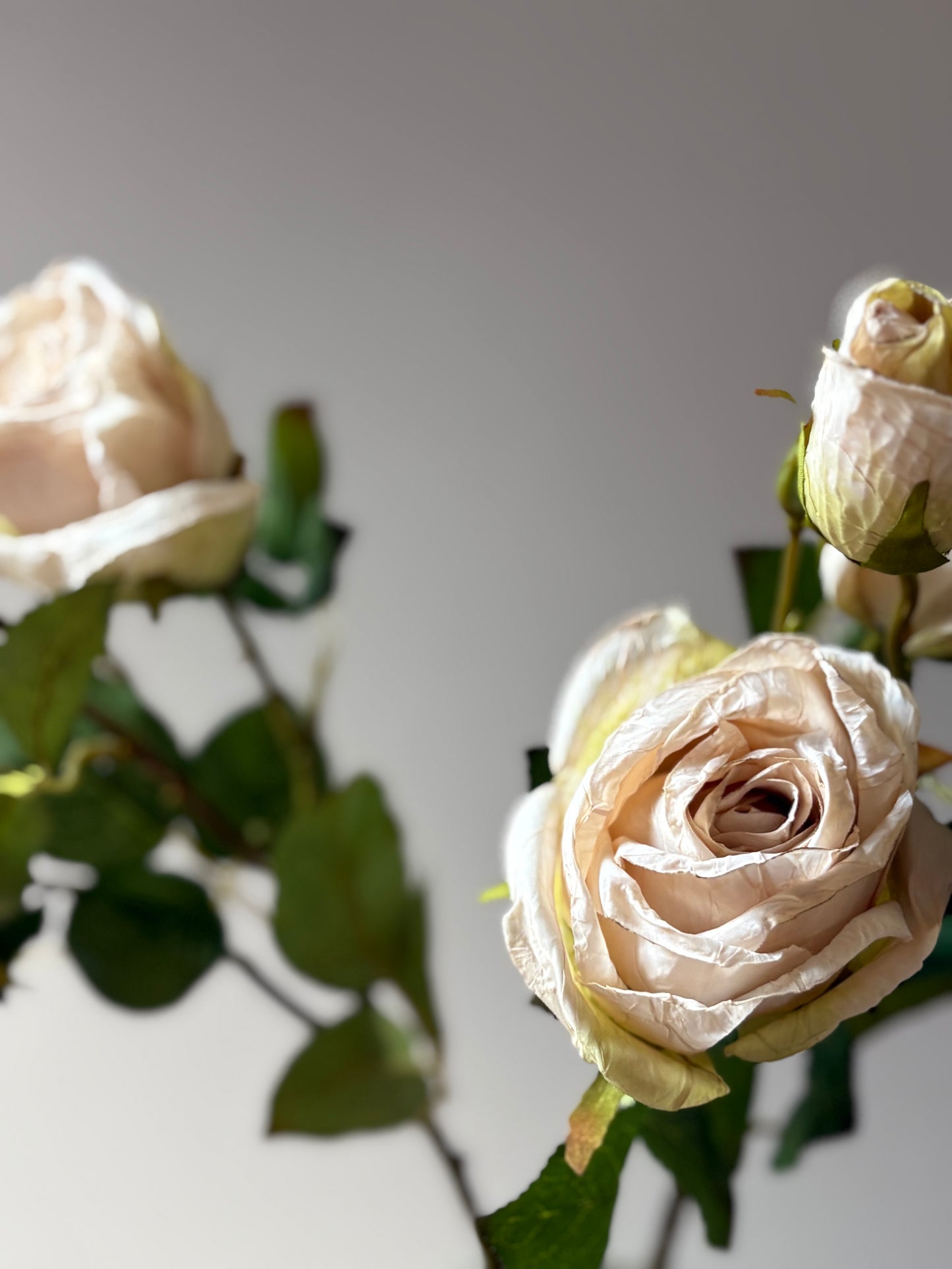 Vintage Rose Spray in Nude