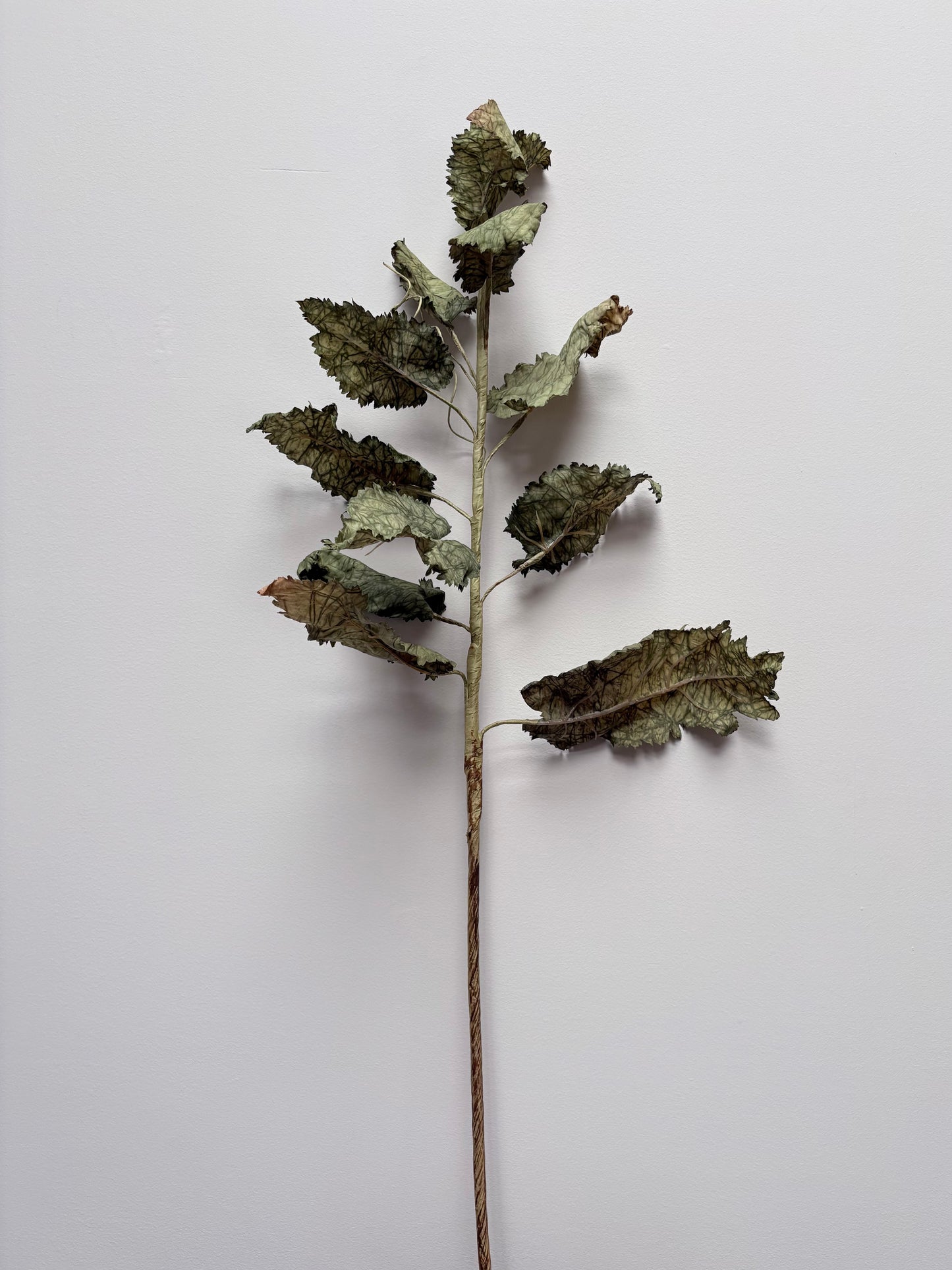 Vintage Foliage Stem Green