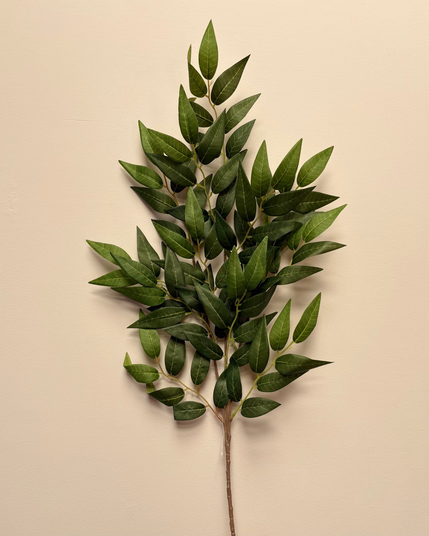 Green Ruscus Stem