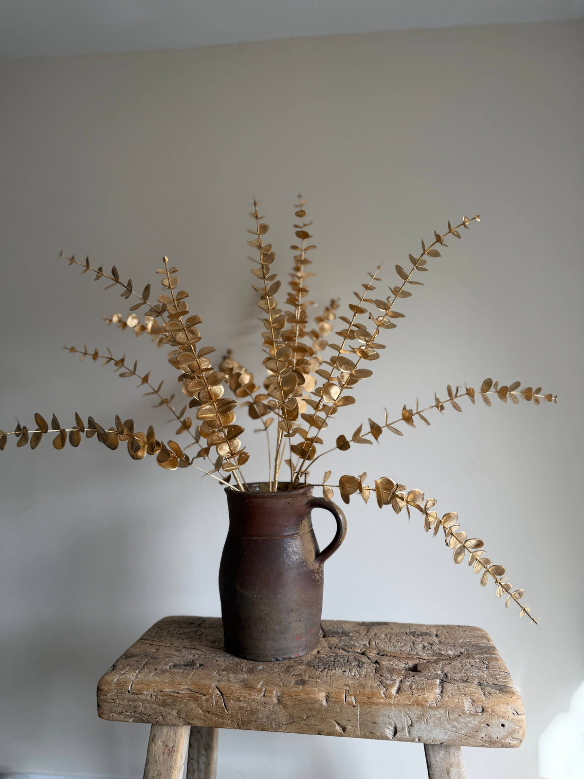 Gold Eucalyptus