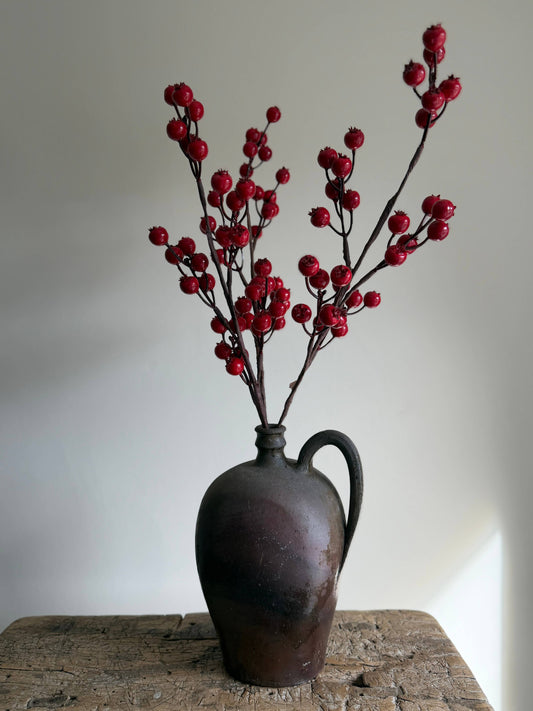 Rosehip Red Berry Stem