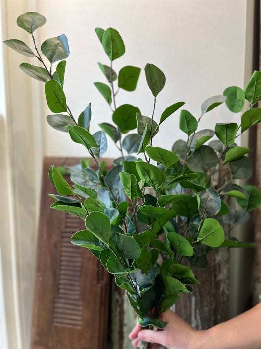 Silver Dollar Eucalyptus Spray (large)