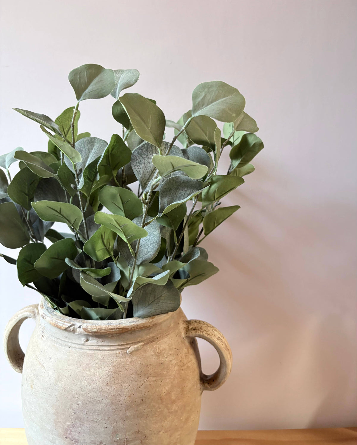 Eucalptus Bunch - Green
