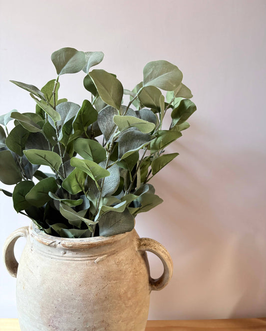 Eucalptus Bunch - Green