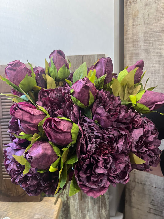 Aubergine Open Peony