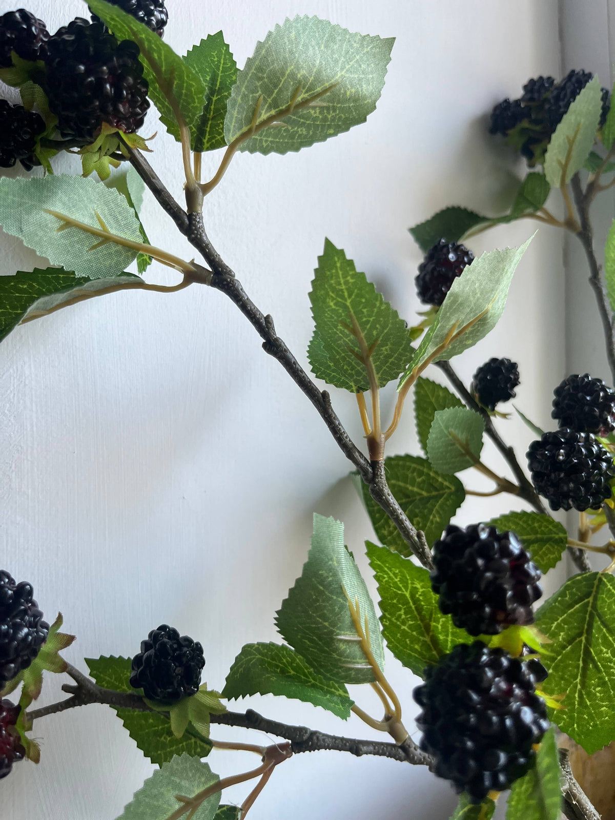 Blackberry Spray