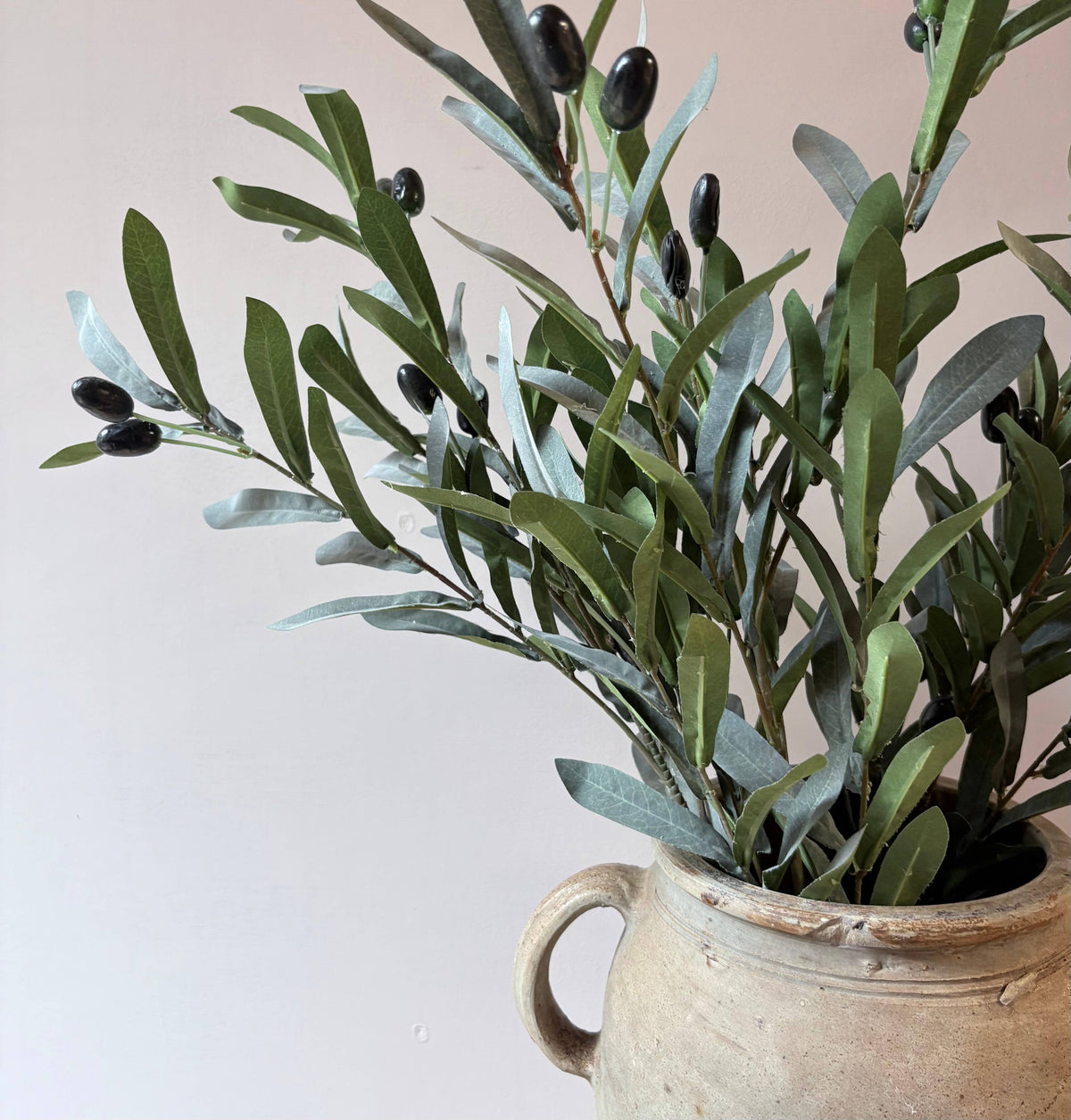 Olive Stem