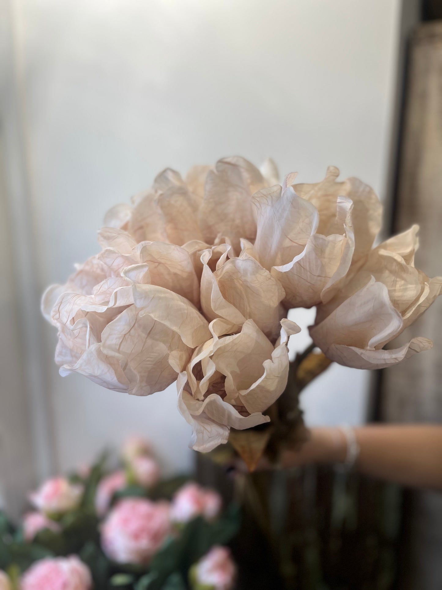 Oyster Tulip Stem