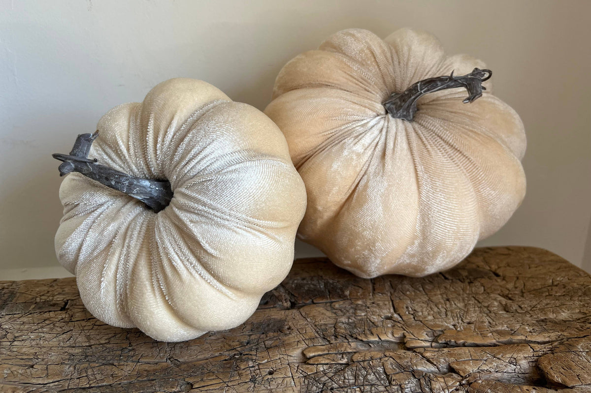Medium Velvet Pumpkin Ivory