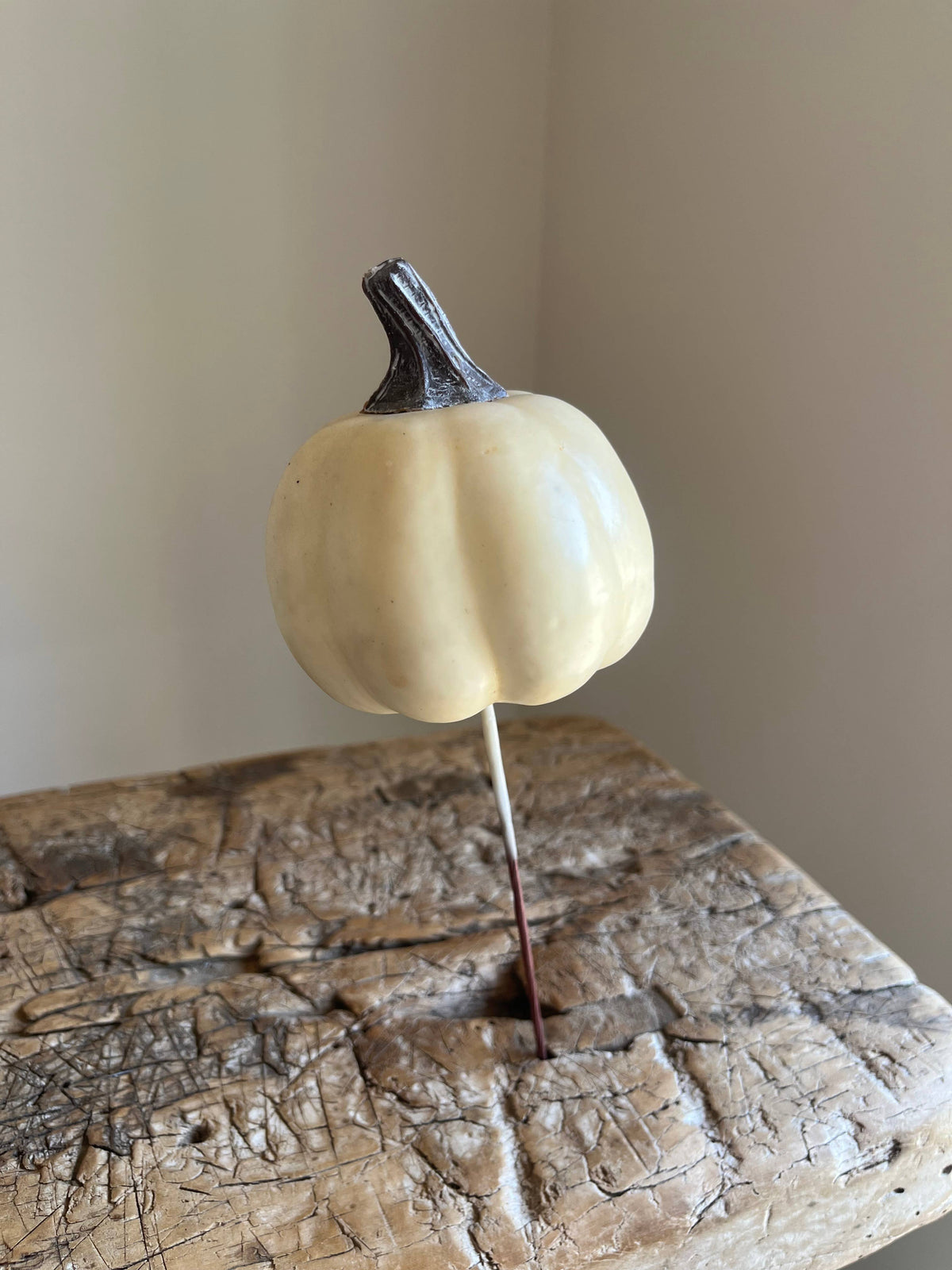 Pumpkin Pick Ivory - Pack of 6