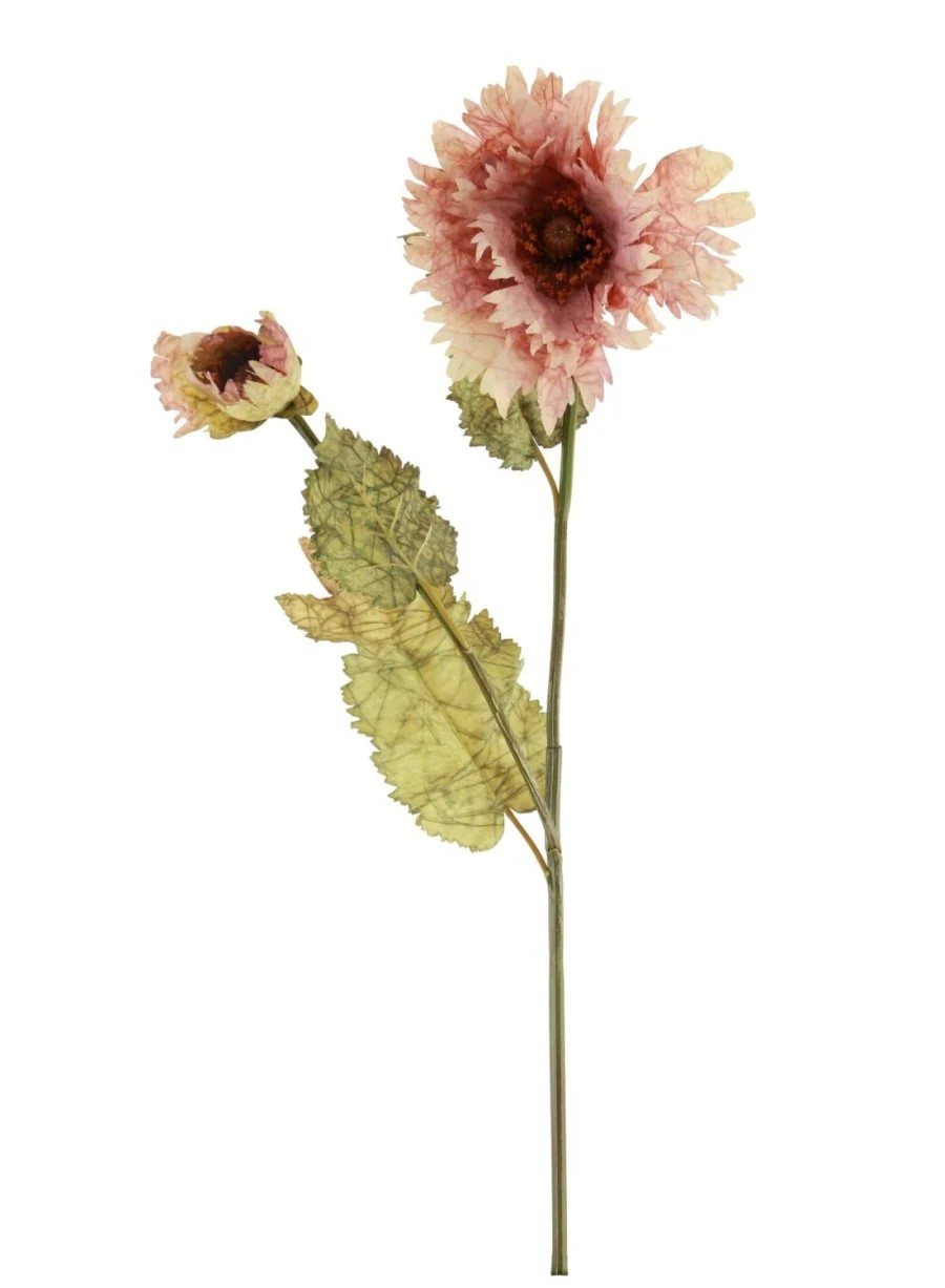 Ruffled Dusty Pink Poppy