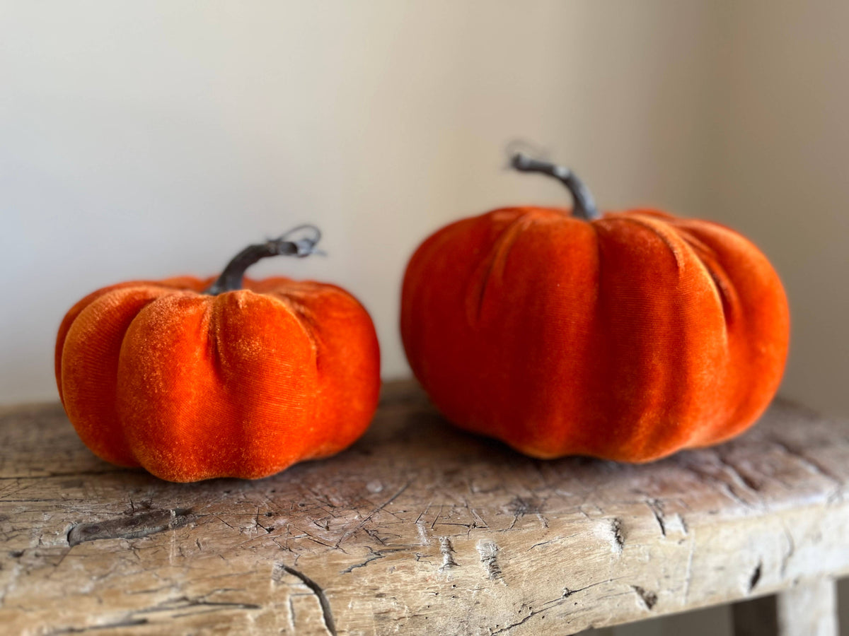 Large Velvet Pumpkin Burnt Orange