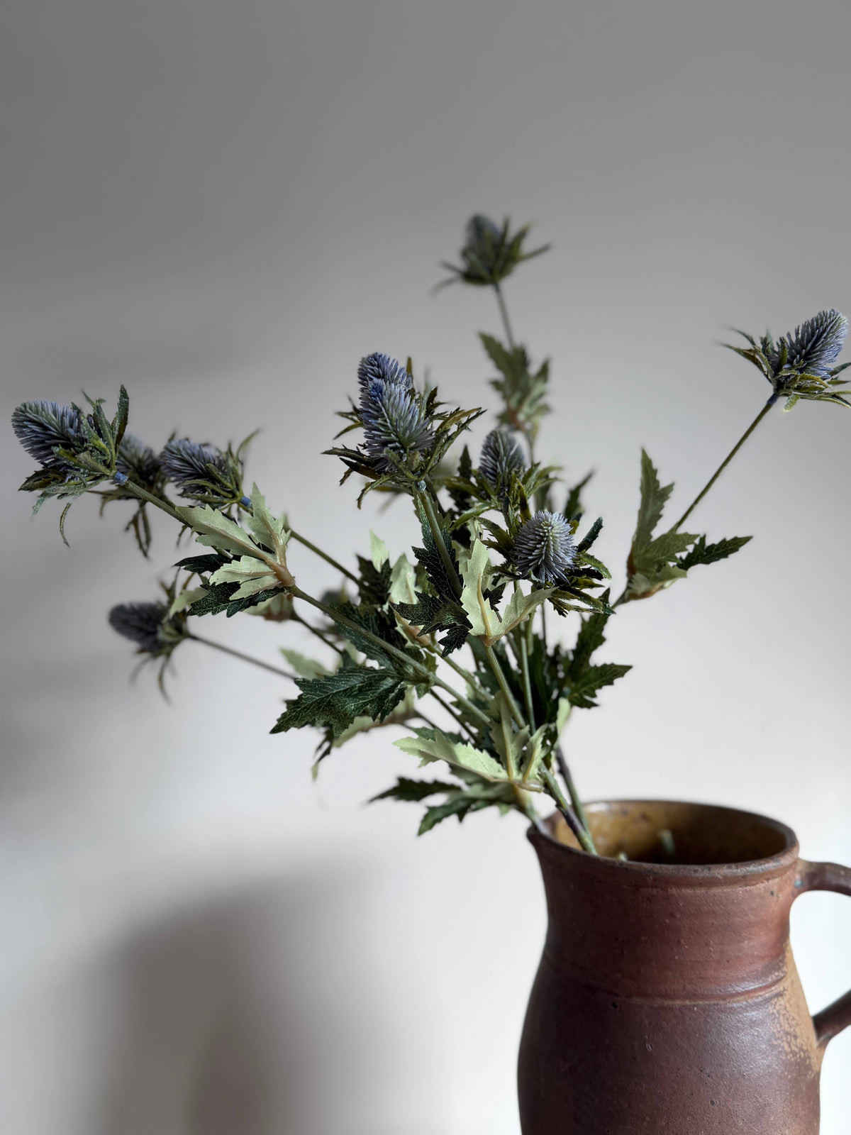 Blue Thistle