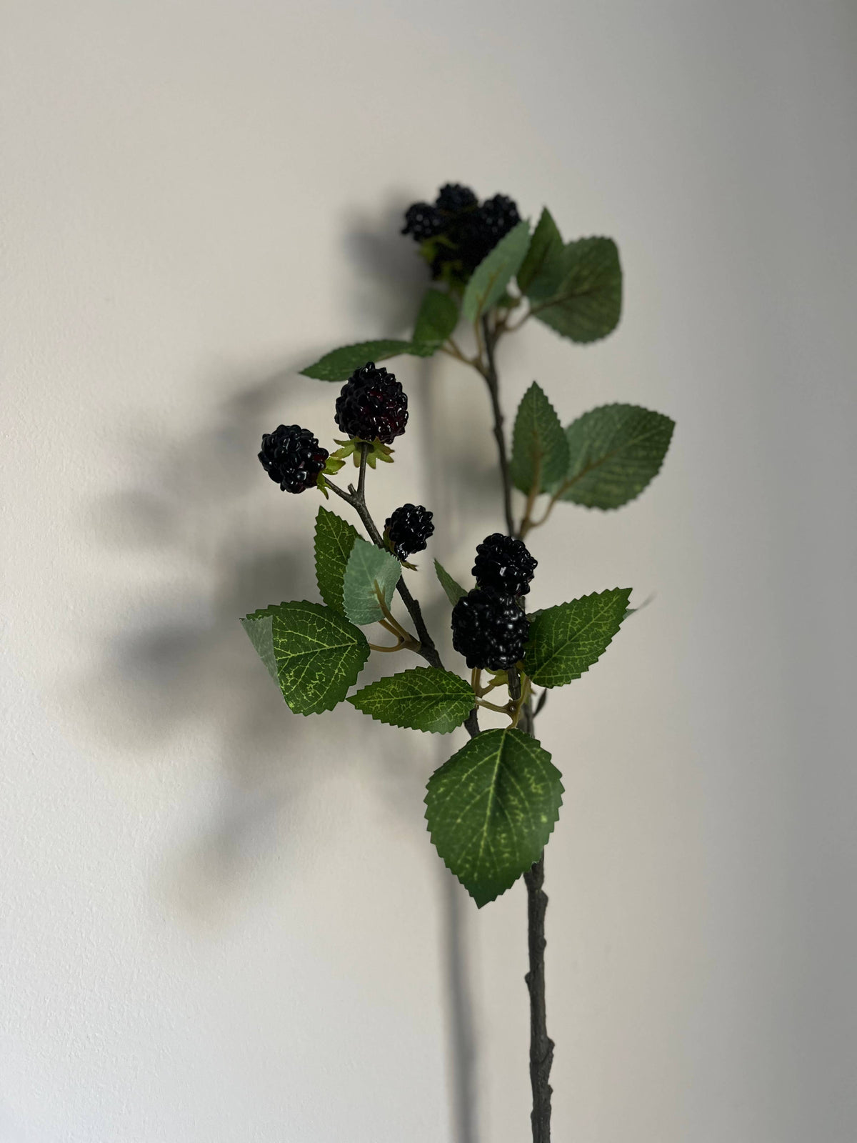 Blackberry Spray