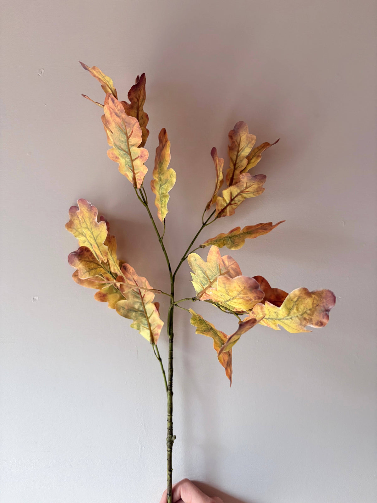 Autumn Oak Leaf Stem