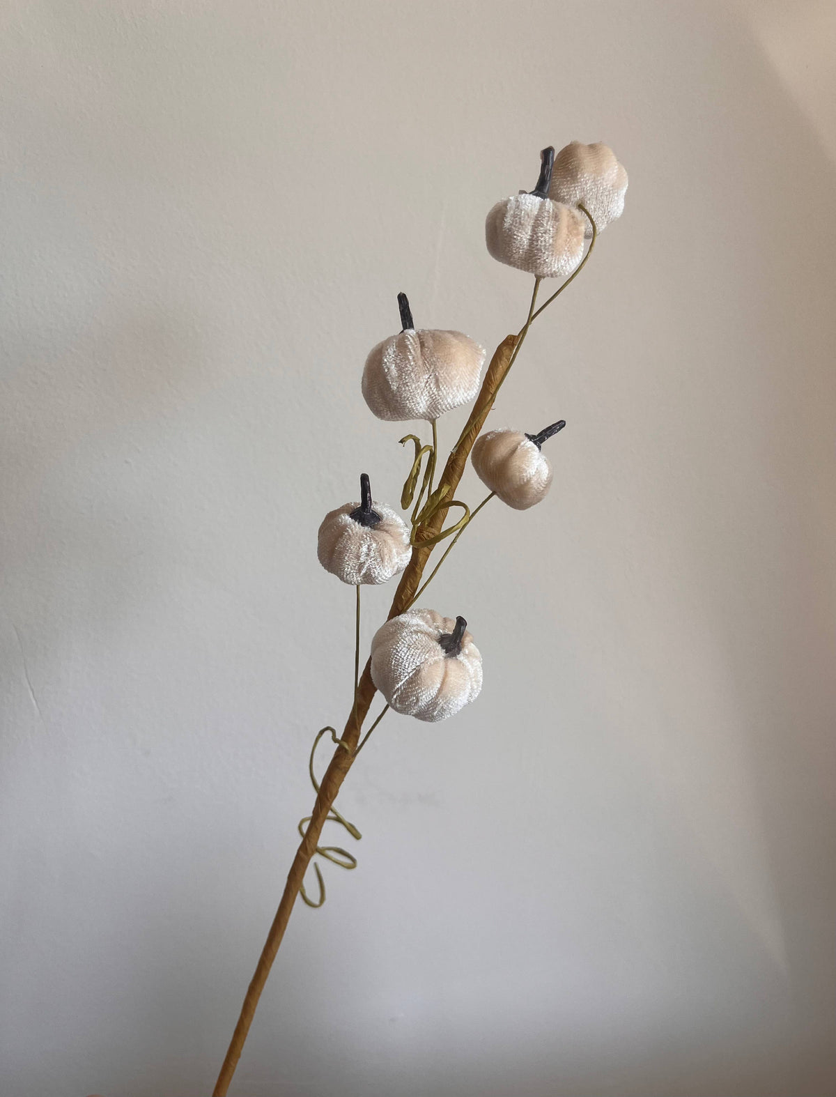 Velvet Pumpkin Spray Ivory Pack of 6