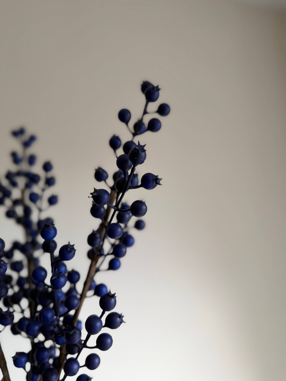 Blue Berry Stem