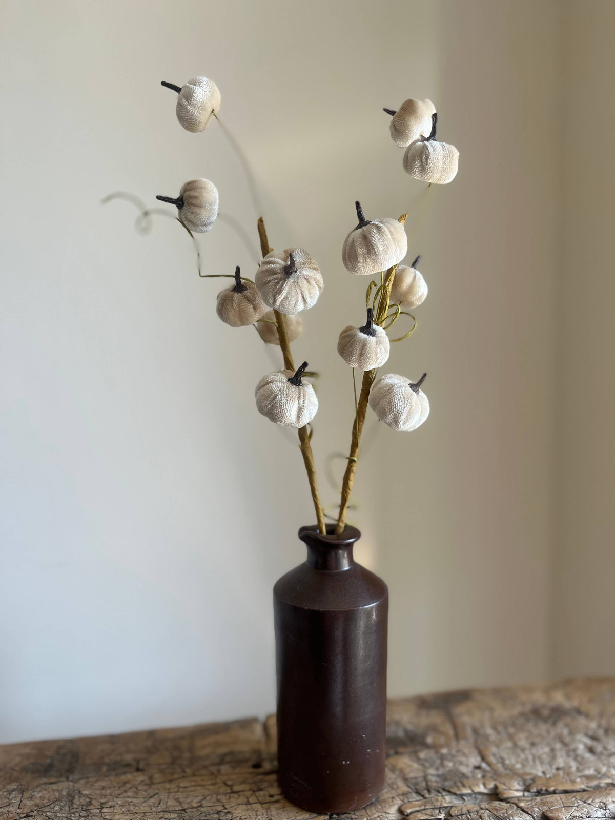 Velvet Pumpkin Spray Ivory Pack of 6
